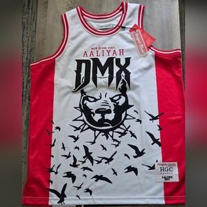 Aaliyah DMX Red and White Men's Jersey